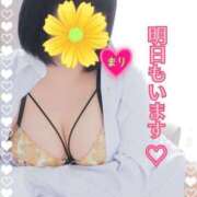 ヒメ日記 2025/05/27 17:27 投稿 まり ぽっちゃり素人専門店 愛されぽっちゃり倶楽部 古川店