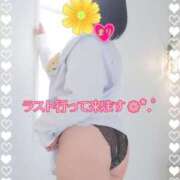 ヒメ日記 2025/06/22 15:00 投稿 まり ぽっちゃり素人専門店 愛されぽっちゃり倶楽部 古川店