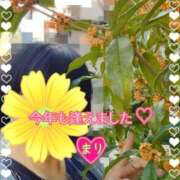 ヒメ日記 2025/10/12 10:57 投稿 まり ぽっちゃり素人専門店 愛されぽっちゃり倶楽部 古川店