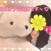 ヒメ日記 2026/03/13 00:17 投稿 まり ぽっちゃり素人専門店 愛されぽっちゃり倶楽部 古川店