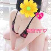 ヒメ日記 2026/04/06 10:20 投稿 まり ぽっちゃり素人専門店 愛されぽっちゃり倶楽部 古川店