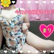 ヒメ日記 2026/04/20 06:45 投稿 まり ぽっちゃり素人専門店 愛されぽっちゃり倶楽部 古川店