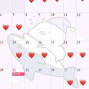 ヒメ日記 2025/06/22 13:42 投稿 りの コルドンブルー