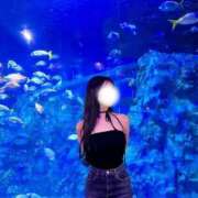 ヒメ日記 2025/07/30 10:35 投稿 りの コルドンブルー