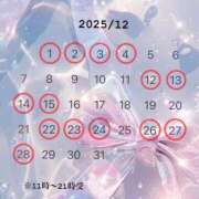 ヒメ日記 2025/11/21 15:45 投稿 りの コルドンブルー