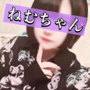 ヒメ日記 2025/06/18 16:53 投稿 ねむちゃん あっきーず