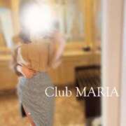 ヒメ日記 2025/11/06 11:45 投稿 Seren【セレン】 club MARIA(大阪)