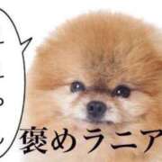 ヒメ日記 2025/06/26 02:35 投稿 そよか 奥様特急上越店