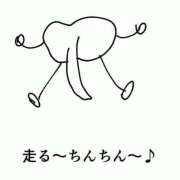 ヒメ日記 2025/07/01 02:35 投稿 そよか 奥様特急上越店