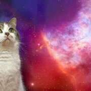 ヒメ日記 2025/07/03 22:05 投稿 そよか 奥様特急上越店