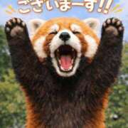 ヒメ日記 2025/12/18 12:25 投稿 そよか 奥様特急上越店