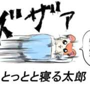 ヒメ日記 2026/03/30 02:15 投稿 そよか 奥様特急上越店