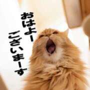 ヒメ日記 2026/08/09 10:05 投稿 そよか 奥様特急上越店