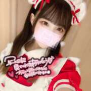 ヒメ日記 2025/10/13 07:06 投稿 こゆき ホワイトハウス