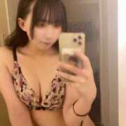 ヒメ日記 2025/11/15 09:40 投稿 こゆき ホワイトハウス