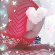 ヒメ日記 2025/11/16 12:01 投稿 ゆりこ 熟女の風俗最終章 宇都宮店