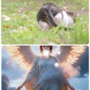 ヒメ日記 2026/02/22 12:18 投稿 ゆりこ 熟女の風俗最終章 宇都宮店