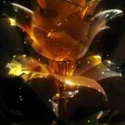 ヒメ日記 2026/03/04 17:31 投稿 ゆりこ 熟女の風俗最終章 宇都宮店