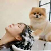 ヒメ日記 2026/03/27 17:21 投稿 ゆりこ 熟女の風俗最終章 宇都宮店