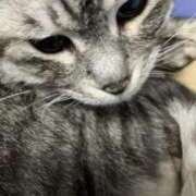 ヒメ日記 2025/07/11 21:39 投稿 かのむ One More 奥様　池袋店