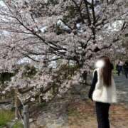 ヒメ日記 2025/06/15 18:04 投稿 ☆日和【ヒヨリ】☆ club MUTEKI