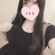 うるる 暑いですね💦💦 奥様特急三条店