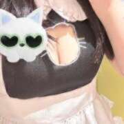 むぎ にゃん！ ぷるりんクエスト上野浅草鶯谷秋葉原デリヘル王国