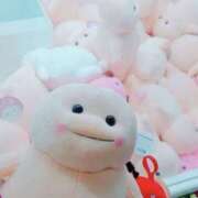 ヒメ日記 2026/06/16 16:05 投稿 はな PINK PLANET