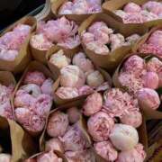 ヒメ日記 2026/02/28 17:12 投稿 こと 素敵な女の子は好きですか？