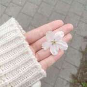 こと 🌸 素敵な女の子は好きですか？