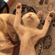 ヒメ日記 2025/06/22 17:49 投稿 れい 松戸人妻 MAD熟女