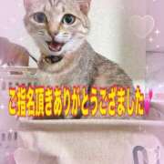 ヒメ日記 2025/09/18 11:49 投稿 れい 松戸人妻 MAD熟女