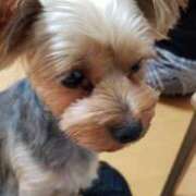 ヒメ日記 2025/10/08 15:42 投稿 星 鶯うぐ