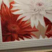 ヒメ日記 2026/04/11 10:50 投稿 星 鶯うぐ