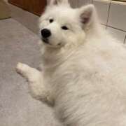 ヒメ日記 2025/10/26 21:11 投稿 なな バニーオンデマンド