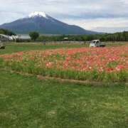ヒメ日記 2026/01/14 08:11 投稿 美春（みはる） エッチな熟女(熊谷)