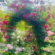 ヒメ日記 2026/01/16 09:04 投稿 美春（みはる） エッチな熟女(熊谷)