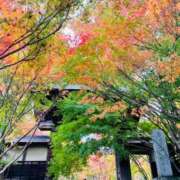 ヒメ日記 2026/01/17 07:53 投稿 美春（みはる） エッチな熟女(熊谷)