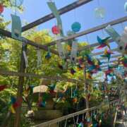 ヒメ日記 2026/01/22 06:45 投稿 美春（みはる） エッチな熟女(熊谷)