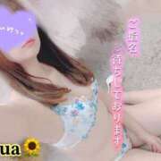 ヒメ日記 2025/06/25 12:08 投稿 ゆあ セレブクエスト-Nishikawa-