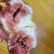 ヒメ日記 2025/09/20 09:43 投稿 三上 さな 30代40代50代と遊ぶなら博多人妻専科24時