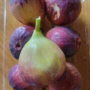 ヒメ日記 2025/09/21 12:51 投稿 三上 さな 30代40代50代と遊ぶなら博多人妻専科24時