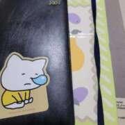 ヒメ日記 2025/09/29 13:28 投稿 三上 さな 30代40代50代と遊ぶなら博多人妻専科24時