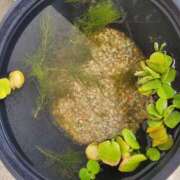 ヒメ日記 2025/10/28 10:06 投稿 三上 さな 30代40代50代と遊ぶなら博多人妻専科24時