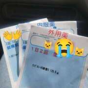 ヒメ日記 2025/10/30 12:47 投稿 三上 さな 30代40代50代と遊ぶなら博多人妻専科24時
