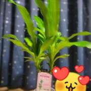 ヒメ日記 2025/11/01 13:59 投稿 三上 さな 30代40代50代と遊ぶなら博多人妻専科24時