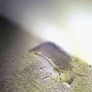 ヒメ日記 2025/11/02 22:31 投稿 三上 さな 30代40代50代と遊ぶなら博多人妻専科24時