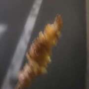 ヒメ日記 2025/11/05 22:18 投稿 三上 さな 30代40代50代と遊ぶなら博多人妻専科24時