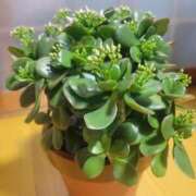 ヒメ日記 2025/11/13 19:38 投稿 三上 さな 30代40代50代と遊ぶなら博多人妻専科24時