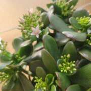 ヒメ日記 2025/11/14 11:19 投稿 三上 さな 30代40代50代と遊ぶなら博多人妻専科24時